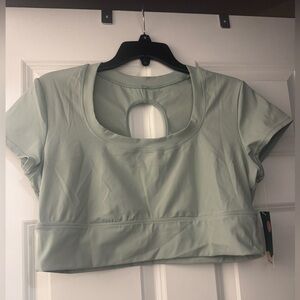 HALARA Light Green Crop Top